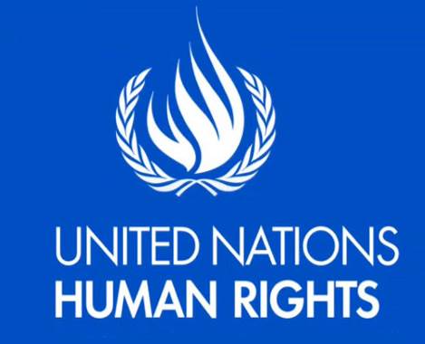 Statement of Iceland on the Human Rights situation in Palestine - mynd