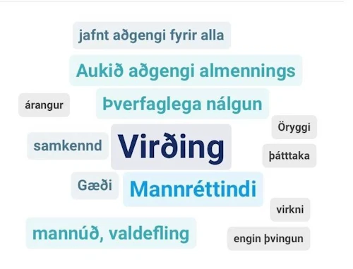 Áherslur þátttakenda á geðheilbrigðisþingi 2020 